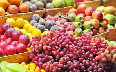 Preocupación en los exportadores de frutas por el anuncio de paralización portuaria