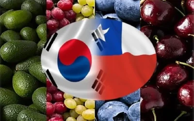 Frutas de Chile celebra inicio de la certificación fitosanitaria electrónica entre Chile y Corea del Sur